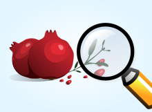 inkscape zoom and view