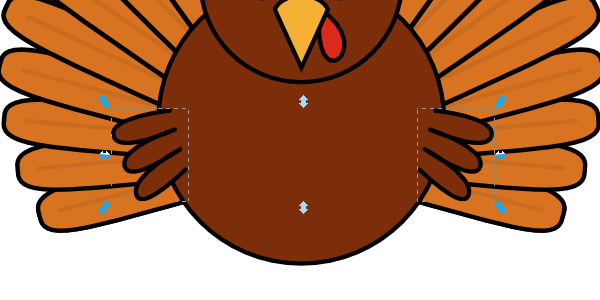 turkey small wings