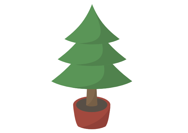 pine tree in pot