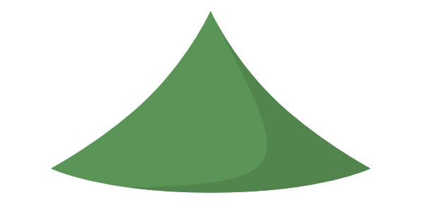 tree top shadow