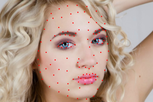 delaunay triangulation dots