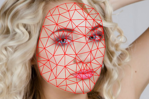 delaunay wireframe